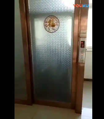 家用升降平臺(tái)